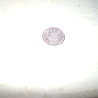 Монета1974год,, снимка 3 - Нумизматика и бонистика - 44759675