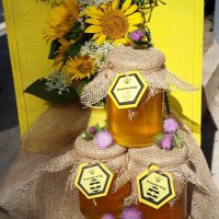 Пчелен мед, снимка 1 - Пчелни продукти - 41980682