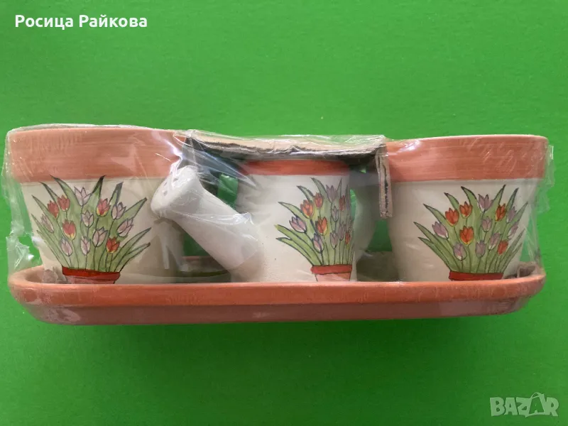 Саксийки, снимка 1