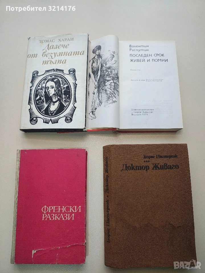 Далече от безумната тълпа - Томас Харди, снимка 1