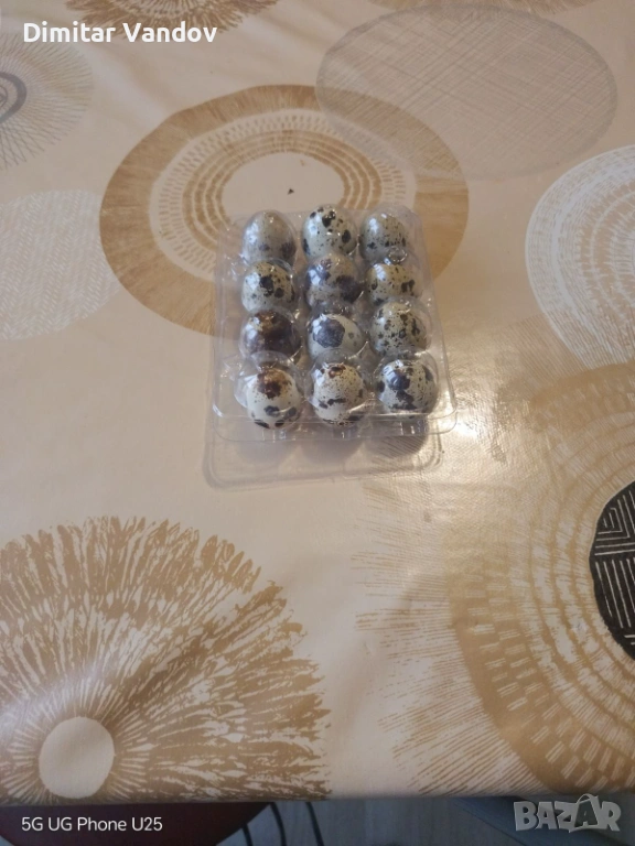 Пресни пъдпъдъчи яйца , снимка 1