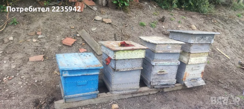 Кошери за пчели, снимка 1