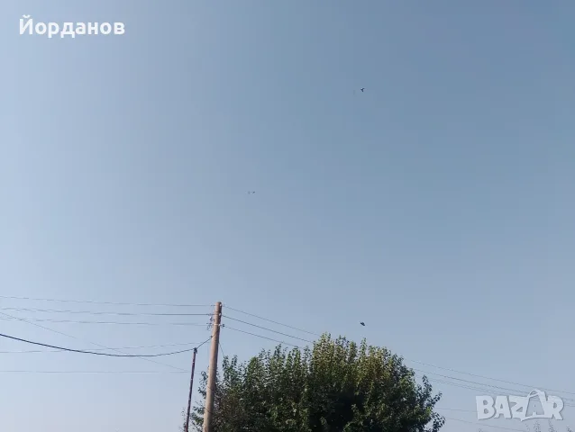 Продавам пазарджишки гълъби, снимка 9 - Гълъби - 54780576