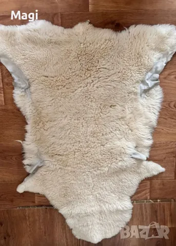 Агнешка кожа