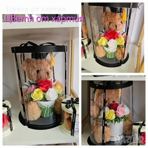 Голямо мече абитуриент/подарък