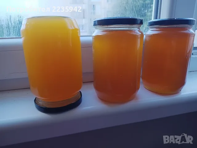 Домашен пчелен мед, снимка 2 - Пчелни продукти - 55946208