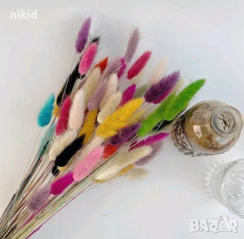 Сноп 10 бр натурален Овален лагурус Заешка опашка пухчета декорация аранжиране ваза букет цветя сухи, снимка 18 - Изкуствени цветя - 29744349