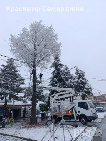 Рязане, кастрене и премахване на опасни и високи дървета в Пазарджик и околността, снимка 7 - Други услуги - 48948613