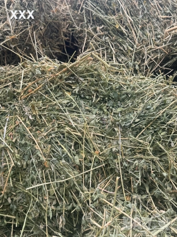 Продавам Бали люцерна перфектно качество , снимка 6 - За селскостопански - 52884266