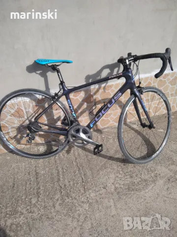 Карбонов FOCUS 