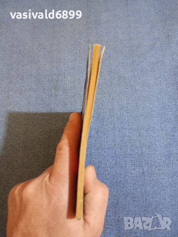 Гюнтер Де Бройн - Тристан и Изолда , снимка 4 - Художествена литература - 44791084