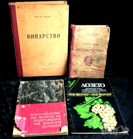 Стари книги, снимка 15 - Други - 51359944