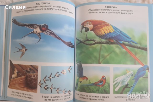 Детска енциклопедия за животни, снимка 3 - Енциклопедии, справочници - 41565352