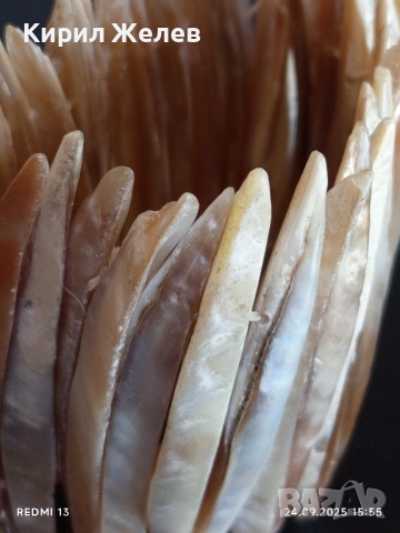 Дамска гривна от натурален кралски седеф разтеглива ХЕНД МЕЙД прекрасна 51337, снимка 4 - Гривни - 51822634