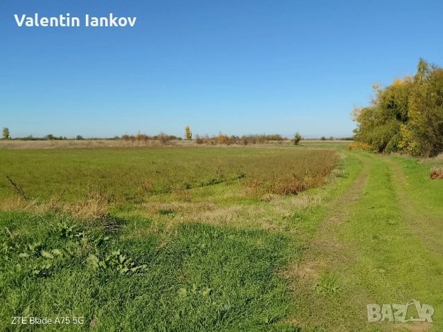 Земеделска земя трета категория в с. Конуш, снимка 7 - Земеделска земя - 52256960