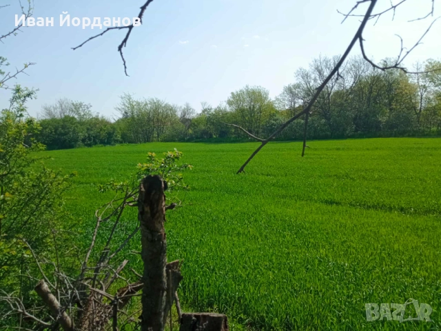 Имот в регулация в с. Бутан, общ. Козлодуй., снимка 3 - Парцели - 51839964