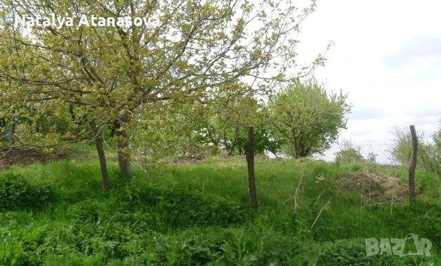 Купете новия си имот в анклава на Ведрина!, снимка 10 - Къщи - 53756929