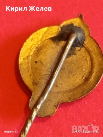 ЦАРСТВО БЪЛГАРИЯ знак член на Запасните офицери и значка миниатюра за КОЛЕКЦИОНЕРИ 52797, снимка 13 - Колекции - 53082164