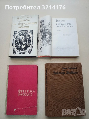 Далече от безумната тълпа - Томас Харди