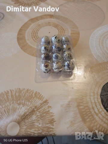 Пресни пъдпъдъчи яйца 