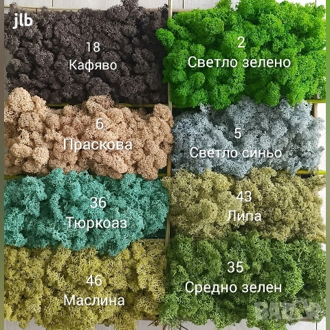 Скандинавски мъх за живи стени, пана и декорации, Премиум почистен Скандинавски мъх, снимка 4 - Декорация за дома - 36784939