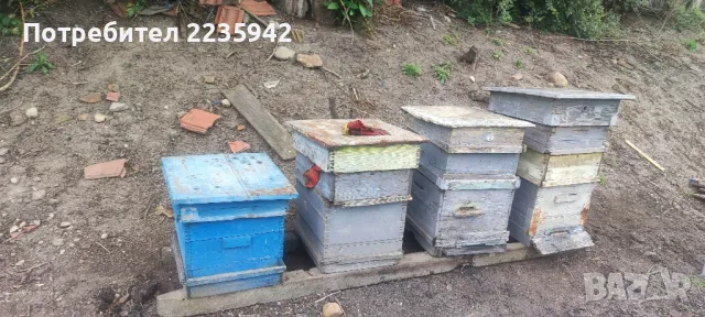 Кошери за пчели, снимка 1