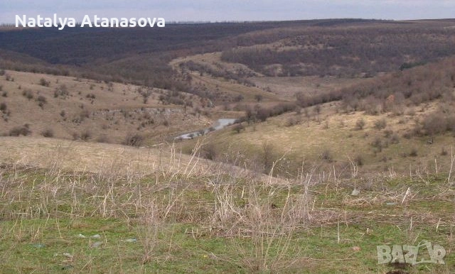 Къща за продажба в Сърнец, област Добрич, снимка 15 - Къщи - 53656508