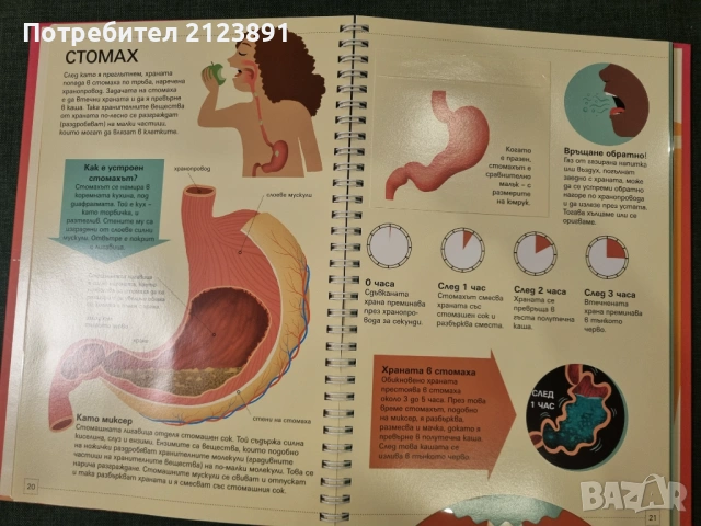 Човешкото тяло - първи знания, снимка 4 - Енциклопедии, справочници - 53501766
