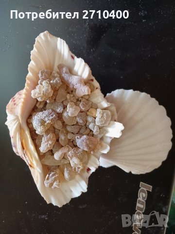 Тамян.Фаворитът.От Оман.Босвелия сакра.Арабски тамян Ходжари От Дофар, снимка 12 - Други - 37083493