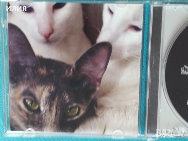 Leni Stern(jazz,fusion)-2CD, снимка 12 - CD дискове - 44354549
