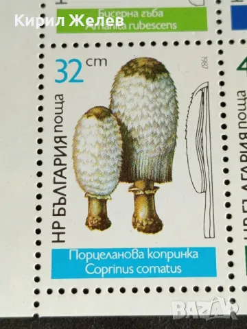 Пощенски марки чиста комплектна серия ГЪБИ поща НРБЪЛГАРИЯ за КОЛЕКЦИОНЕРИ 46344, снимка 5 - Филателия - 47769885