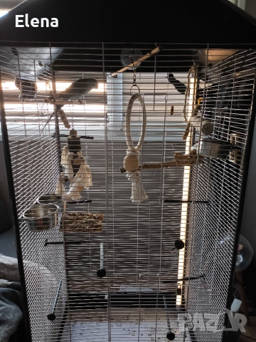 Клетка за папагал с папагал