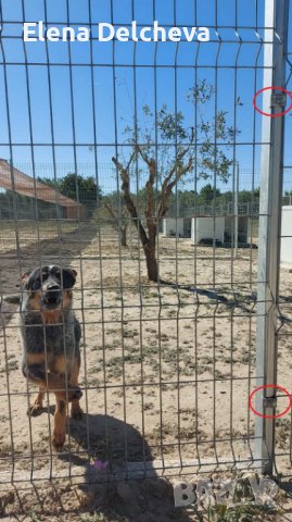 ФИКСАТОР ЗА ОГРАДНИ ПАНА, снимка 8 - Огради и мрежи - 44313056