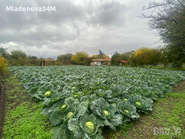 Имот с голям двор, снимка 2 - Къщи - 52255307