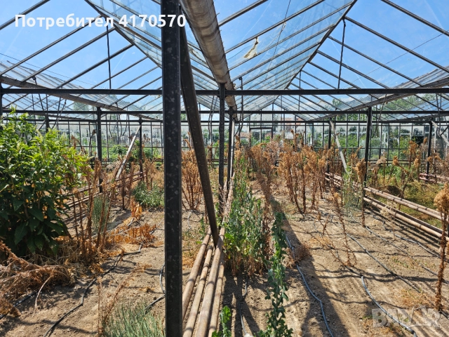 Продава се стъклена оранжерия, снимка 11 - Оранжерии - 51654998