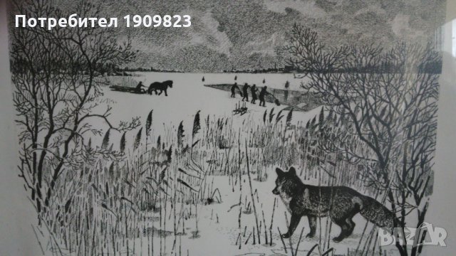 Харалд Уиберг, снимка 1