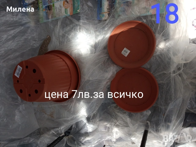 Саксии, снимка 16 - Саксии и кашпи - 53650030