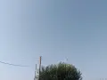Продавам пазарджишки гълъби, снимка 9