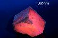 Кубичен розов манганокалцит от България 165g, снимка 2