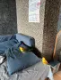 Поен мъжки папагал , снимка 12