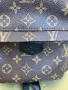 Чанта Раница Louis Vuitton, снимка 2
