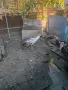 Продавам женски паун, снимка 3