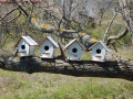 Къщички за птици , върху които може да се рисува ., снимка 2