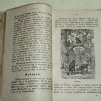 Естествознание / 1902 г./, снимка 6 - Антикварни и старинни предмети - 40329024