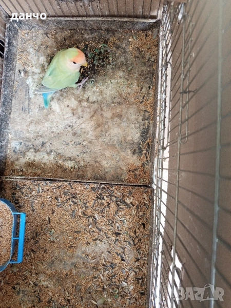 продавам неразделка , снимка 1