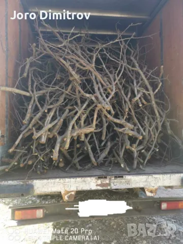 Изхвърляне на растителност 100-500лв (корени, храсти, клони и трева), снимка 6 - Транспортни услуги - 48927615