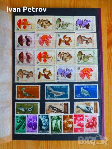 Продавам серии пощенски марки „Животни и растения“, снимка 15 - Филателия - 50960831