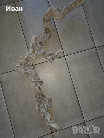 корен от дърво с камъни в него, снимка 11 - Декорация за дома - 53568968