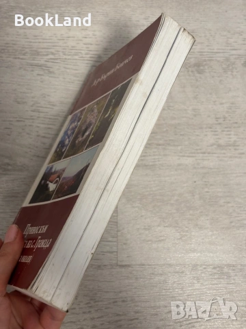 Принос към историята на с. Грамада (Кулска околия), снимка 3 - Художествена литература - 53390966