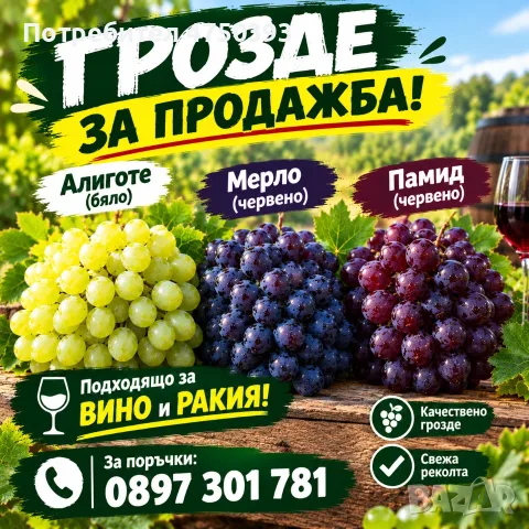  Грозде  Алиготе/Мерло/Памит .